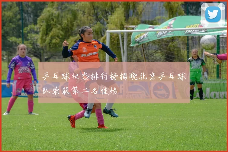 乒乓球状态排行榜揭晓北京乒乓球队荣获第二名佳绩