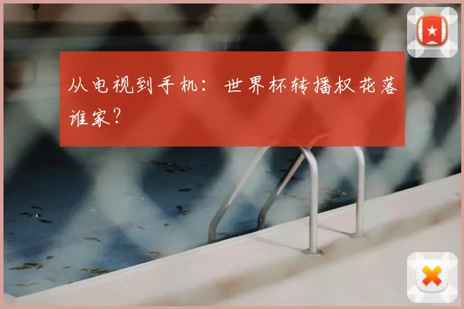 从电视到手机：世界杯转播权花落谁家？