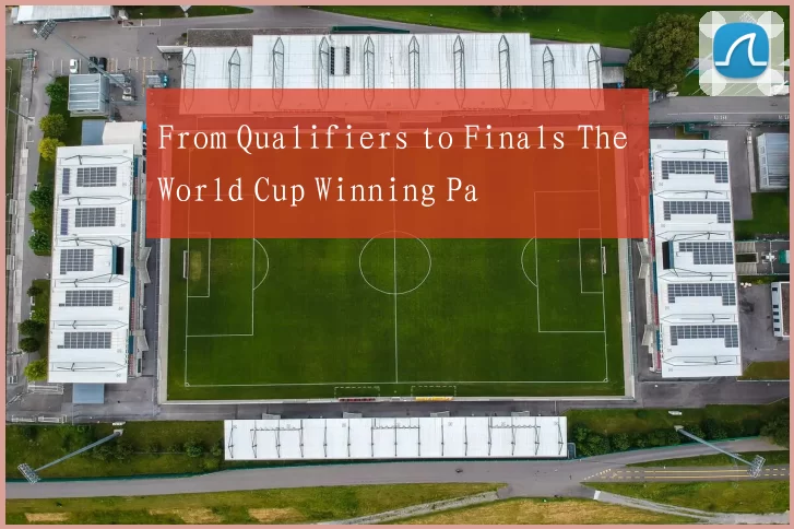 From Qualifiers to Finals The World Cup Winning Pa