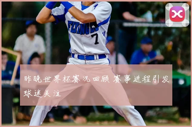 昨晚世界杯赛况回顾 赛事进程引发球迷关注