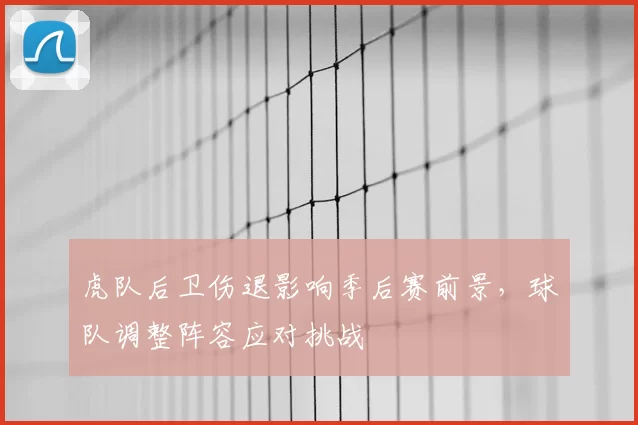 虎队后卫伤退影响季后赛前景,球队调整阵容应对挑战
