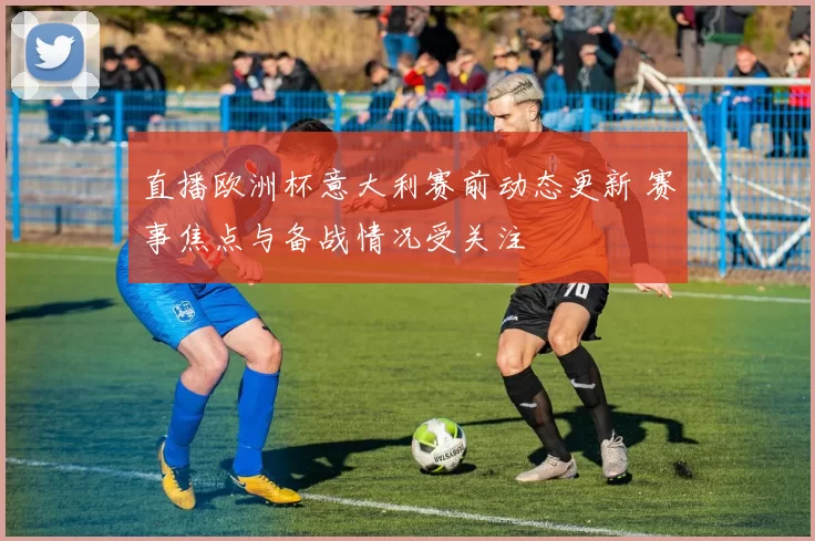 直播欧洲杯意大利赛前动态更新 赛事焦点与备战情况受关注