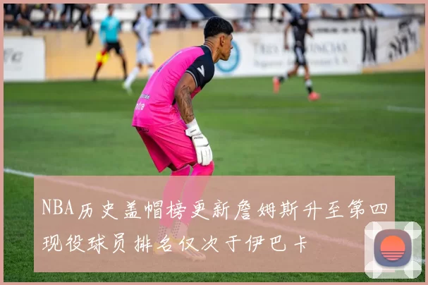 NBA历史盖帽榜更新詹姆斯升至第四现役球员排名仅次于伊巴卡