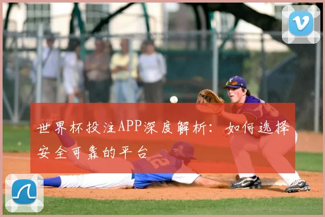 世界杯投注APP深度解析：如何选择安全可靠的平台