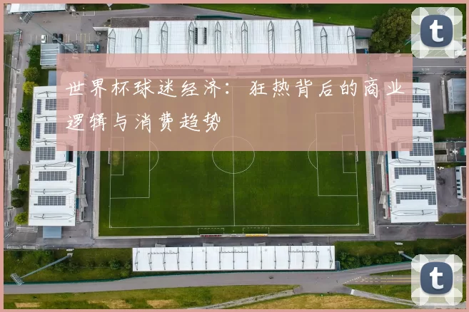 世界杯球迷经济：狂热背后的商业逻辑与消费趋势