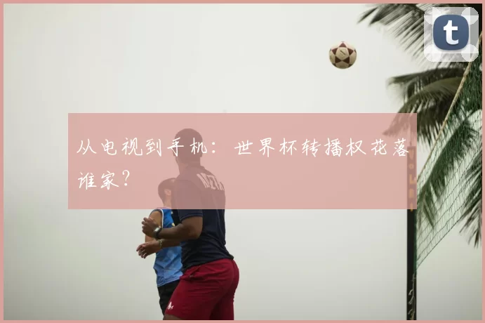从电视到手机：世界杯转播权花落谁家？