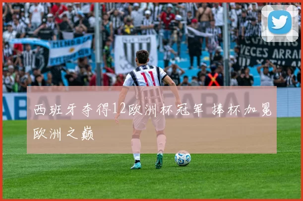 西班牙夺得12欧洲杯冠军 捧杯加冕欧洲之巅