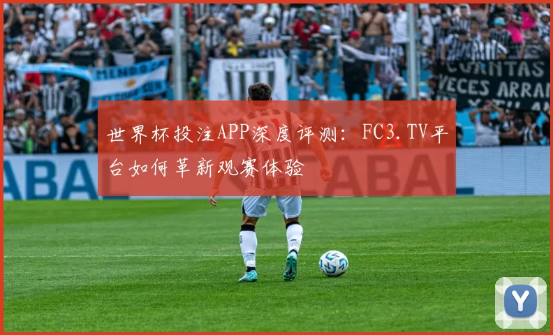 世界杯投注APP深度评测：FC3.TV平台如何革新观赛体验