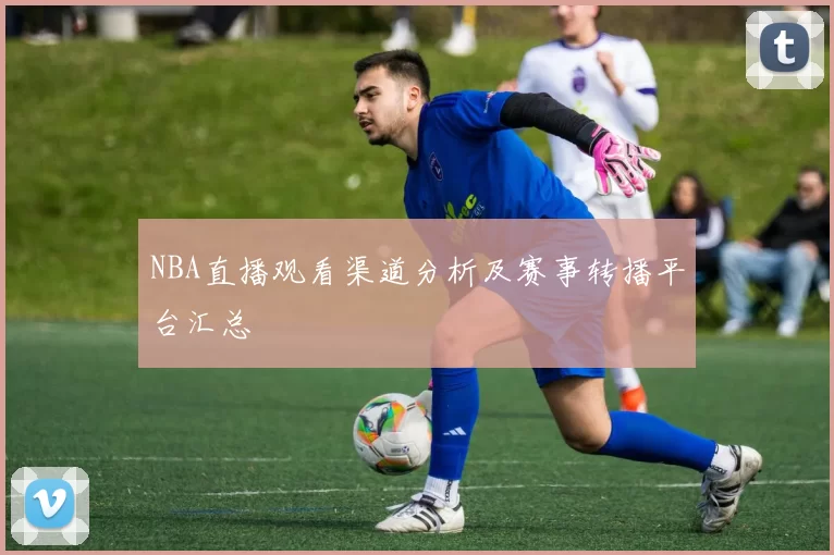NBA直播观看渠道分析及赛事转播平台汇总