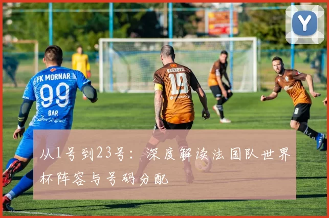 从1号到23号：深度解读法国队世界杯阵容与号码分配