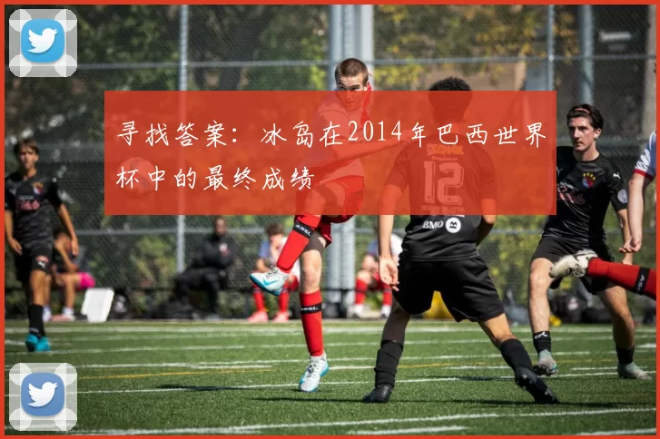 寻找答案:冰岛在2014年巴西世界杯中的最终成绩