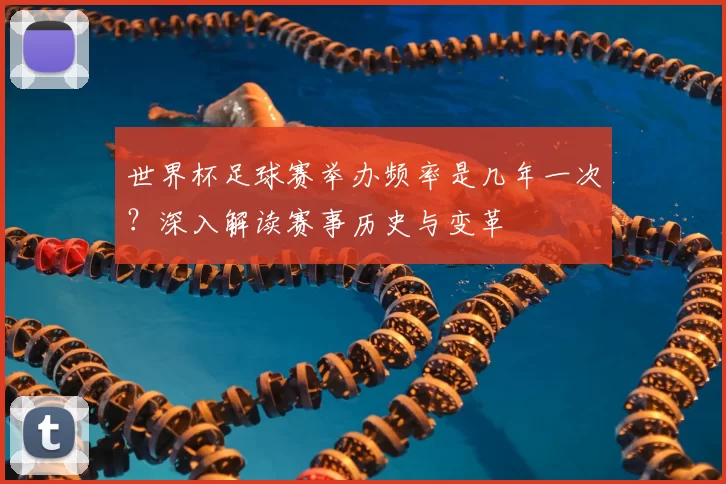 世界杯足球赛举办频率是几年一次？深入解读赛事历史与变革